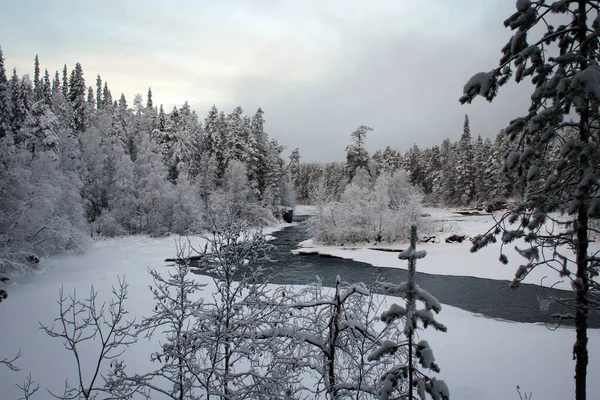 Bevroren Landschap Van Het Nationale Park Oulanka Finland — Stockfoto