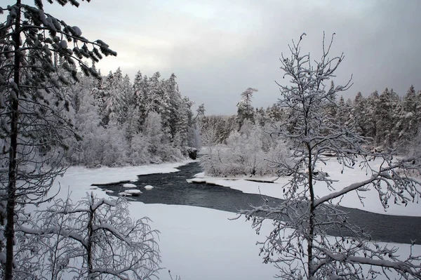 Bevroren Landschap Van Het Nationale Park Oulanka Finland — Stockfoto