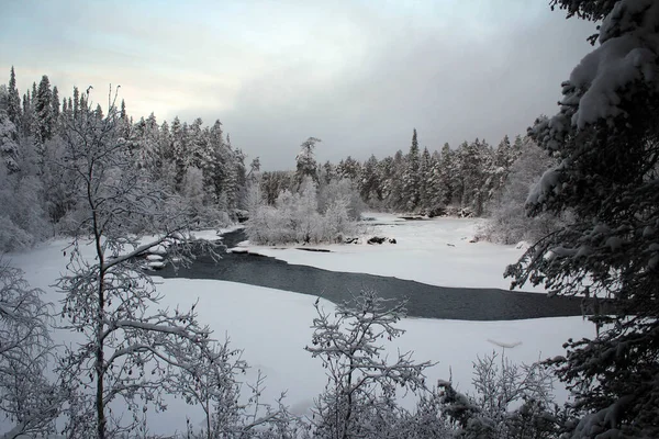 Bevroren Landschap Van Het Nationale Park Oulanka Finland — Stockfoto