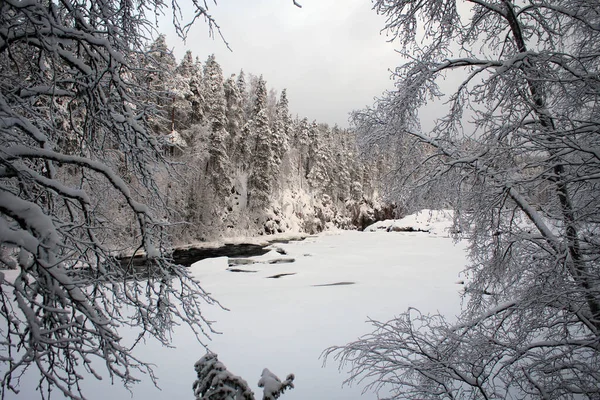 Frozen Landscape Oulanka National Park Finland — Stock Photo, Image