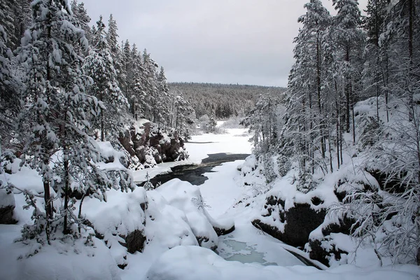 Rode Kloof Van Oulanka Nationaal Park Uitzicht Door Winter Finland — Stockfoto