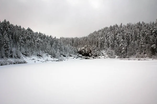 Замороженный Ландшафт Национального Парка Оуланка Финляндия — стоковое фото