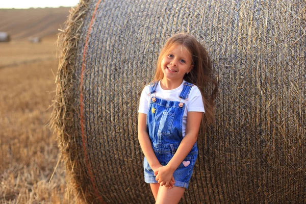 美丽的小女孩站在夏田的草堆边 — 图库照片