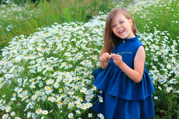 Menina bonita fica no campo com margaridas no verão — Fotografia de Stock