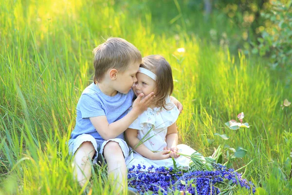 Little boy hugs a girl on the nature in summer — Stock Photo, Image