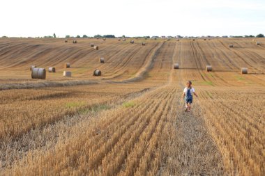 Kız yazın çim biçme tarlasında koşar.