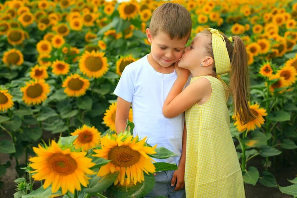 Two children are in the field with sunflowers — Stock Photo, Image