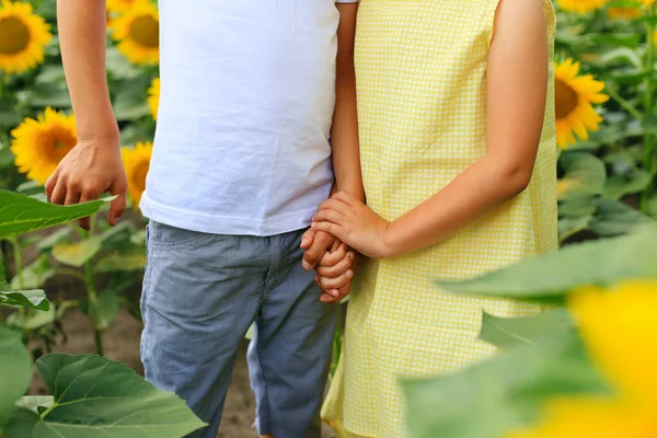 Zwei Kinder sind mit Sonnenblumen auf dem Feld — Stockfoto