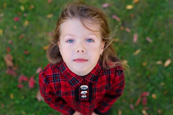 A beautiful girl with blue eyes looks up. — Stock Photo, Image