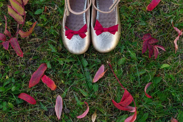 Belle scarpe d'argento bambino stand a terra con foglie autunnali. — Foto Stock