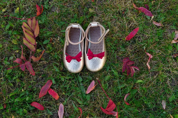 Pantofi frumoși de argint pentru copii stau pe pământ cu frunze de toamnă . — Fotografie, imagine de stoc