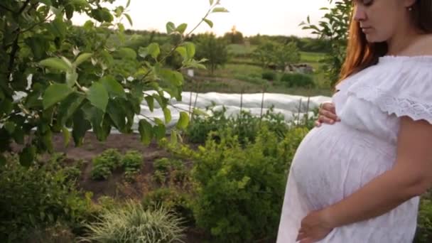 妊娠中の母親が家の近くの庭を歩いている. — ストック動画