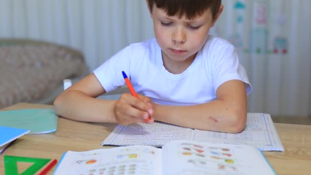 Un bambino fa i compiti sull'isolamento. Compiti. — Video Stock