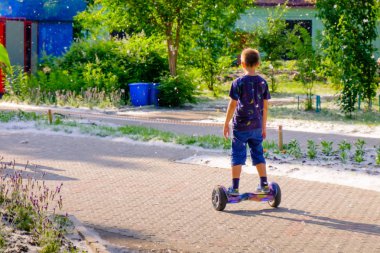 Kavak sinekler sinek çevrelerindeki kabartıp iken çocuk parkta kendi kendine karşı scooter üzerinde sürmek