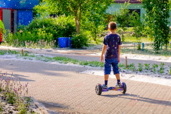 Boy Rides Self Balancing Scooter Park While Flies Poplars Fluff Royalty Free Stock Photos