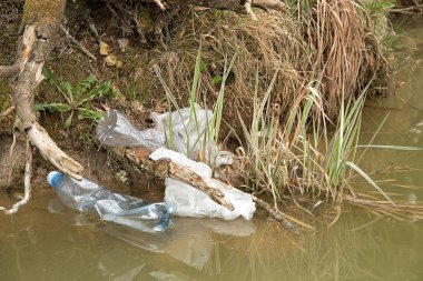 Suda plastik kirliliği. Plastik atıklar suda yüzer. Çevre Koruma. Plastik şişeler ve su üzerindeki diğer çöpler.