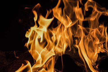 Yanan ahşap kütük. Siyah arka plan.