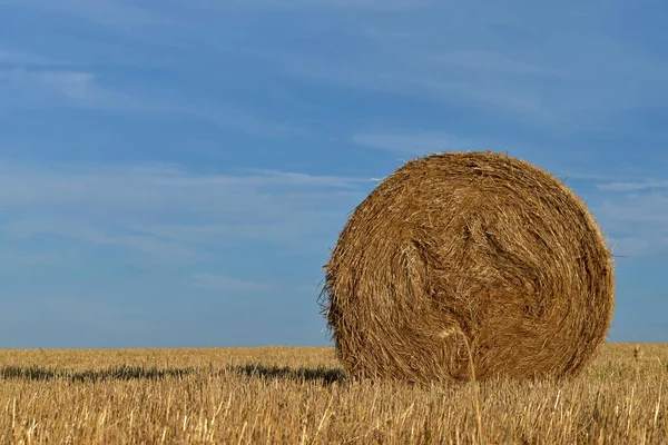 Round bundle of straw. Rural landscape with agricultural fields. The field is harvested. Sun is shining. — Stock Photo, Image