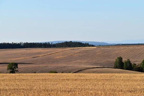 Ländliche Landschaft mit landwirtschaftlichen Flächen. Das Feld ist abgeerntet. Landschaft bei Sonnenuntergang. hügeliges Gelände. — Stockfoto