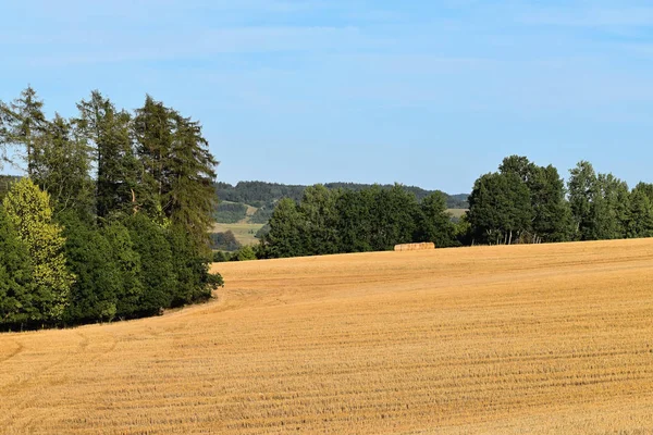 Ländliche Landschaft mit landwirtschaftlichen Flächen. Das Feld ist abgeerntet. Landschaft bei Sonnenuntergang. — Stockfoto