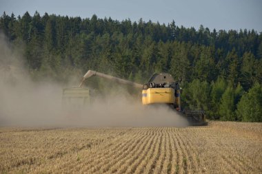 Sarı bir hasat makinesi tahılı bir yan içine sarar. Hasat zamanı.