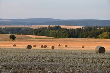 Kırsal. Hasat edilen tarla. Yuvarlak saman demeti. Hasat zamanı.