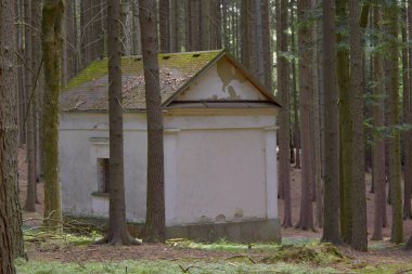 Yaz ormanının ortasında Hıristiyan şapeli.