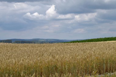 Çiftlik alanları ile kırsal peyzaj, bulutlar ile gökyüzü.