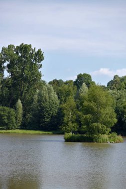 Gölün ortasında ağaçlar ile Ada.