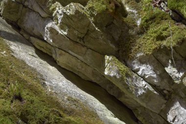 Kaya kütlesi yosunla kaplı, güneş parlıyor.