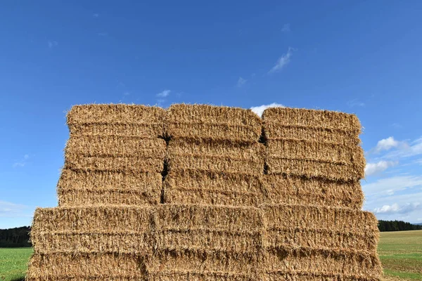 Stack of straw, square balers straightened in the field. Blue sky — Stock Photo, Image