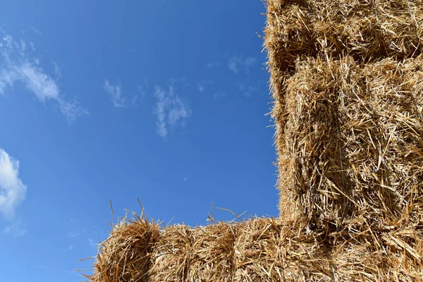 Stack of straw, square bundles straightened on each other. Blue sky. — Stock Photo, Image