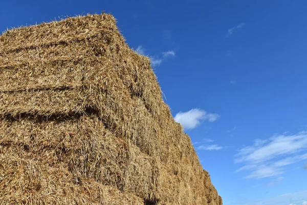 Stack of straw, square bundles straightened on each other. Blue sky. — Stock Photo, Image