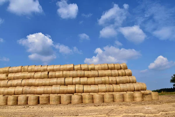 Round bales of straw straightened into a pyramid shape. — Stock Photo, Image