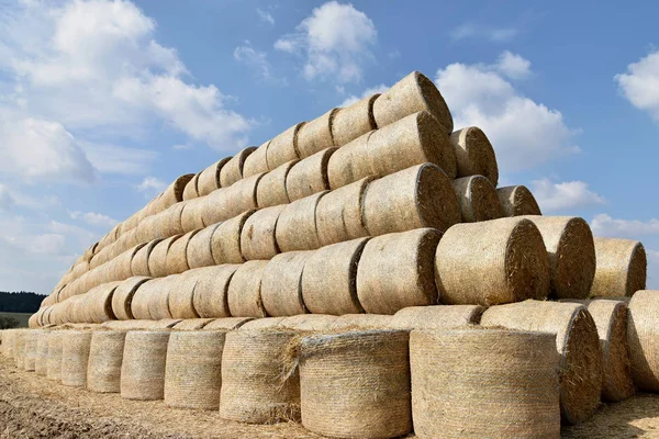 Round bales of straw straightened into a pyramid shape. — Stock Photo, Image