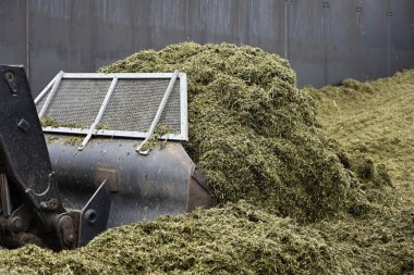 Ön yükleyici bir silo çukuruna yuvarlanır.