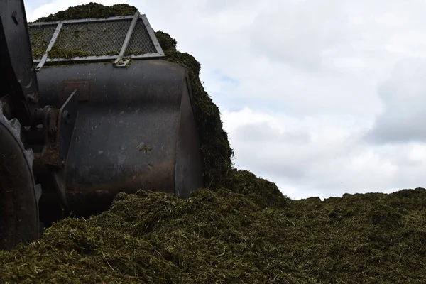 The front loader rolls into chaff a silo pit. — Stock Photo, Image