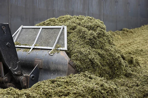 O carregador dianteiro rola na palha um poço de silo . — Fotografia de Stock