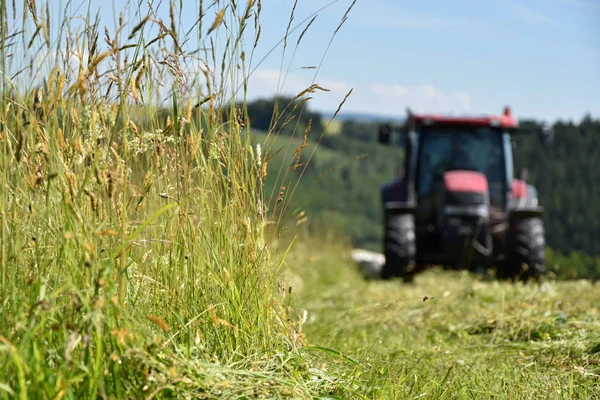 De trekker snijdt het gras op de weide. Focus op gras. — Stockfoto