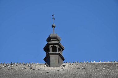 Kilise kulesinin çatısında güvercinler