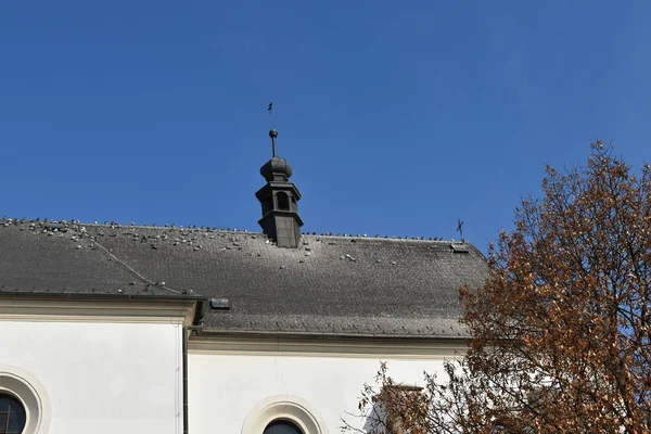 Kilisenin çatısında güvercinler — Stok fotoğraf