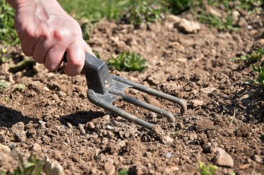 Bir kadının eli, toprağı fidan dikmeye ayarlar. El tutma bahçe aracı.
