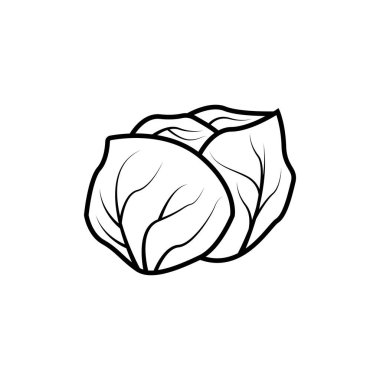 Lahana simgesi vektör tasarım şablonu