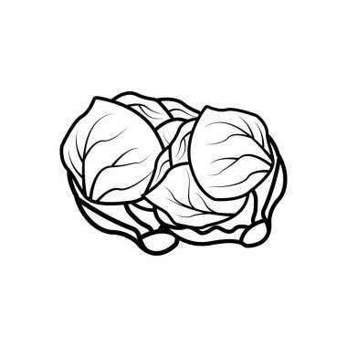 Lahana simgesi vektör tasarım şablonu