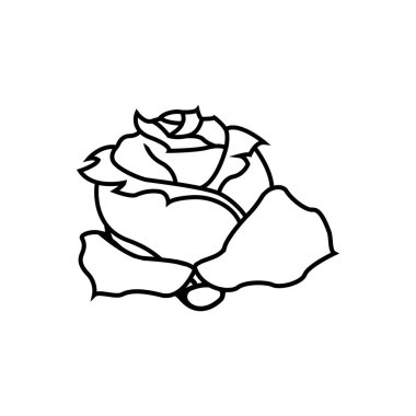 Lahana simgesi vektör tasarım şablonu