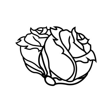 Lahana simgesi vektör tasarım şablonu