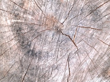 Masaüstü için tahıl dokusu arkaplanı