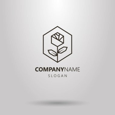 Siyah ve beyaz geometrik hat sanatı logosu bir altıgen çerçeve içinde gül