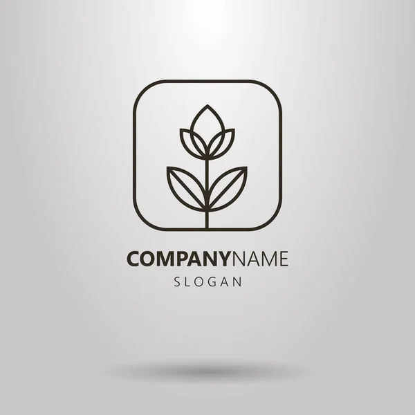 Černá Bílá Logo Linie Umění Jednoduché Květiny Rámu — Stockový vektor