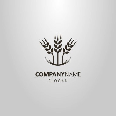 siyah ve beyaz basit vektör Soyut logo üç buğday kulak